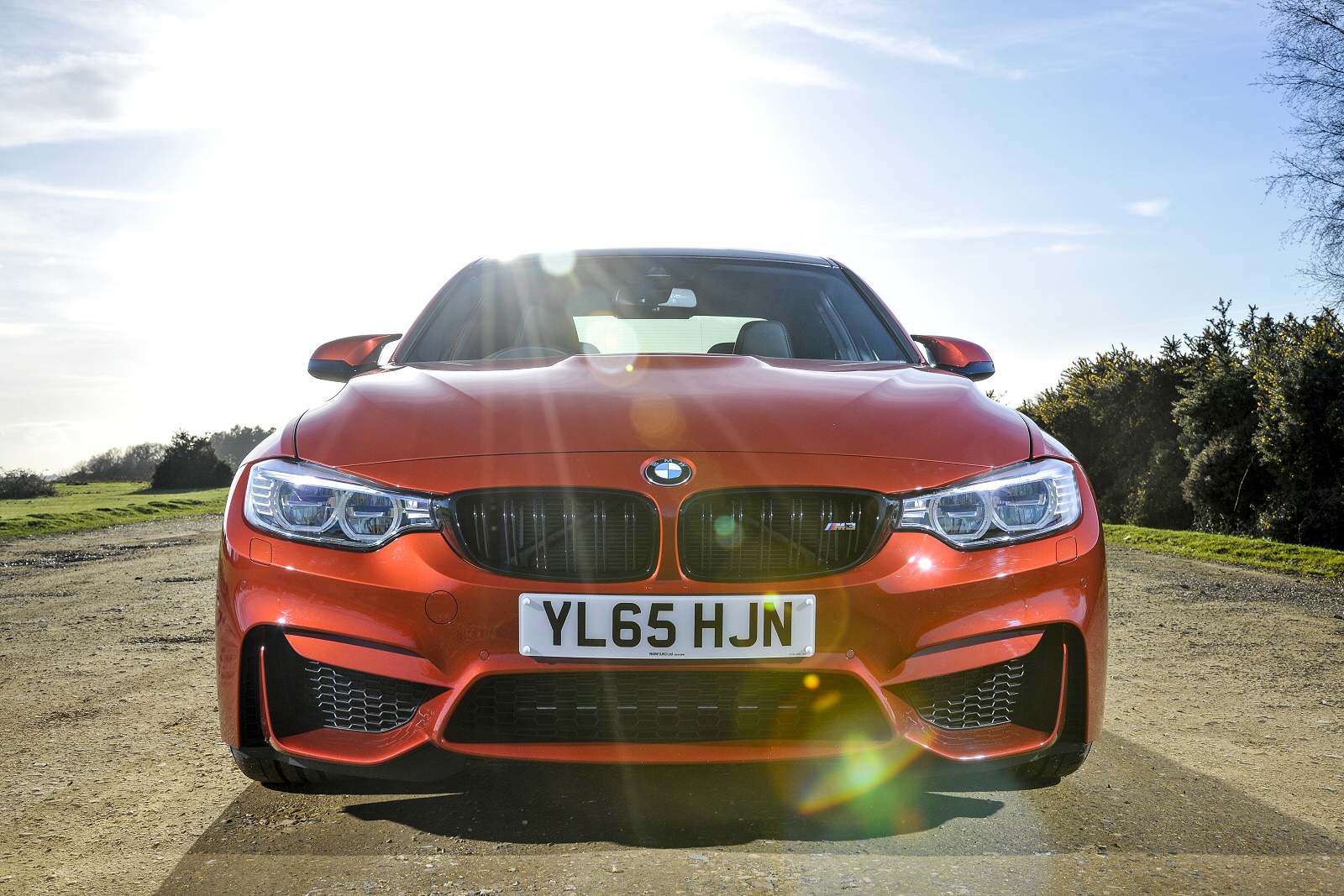 Used BMW M3 [F80] (2014 - 2020) + Guide - Image 1